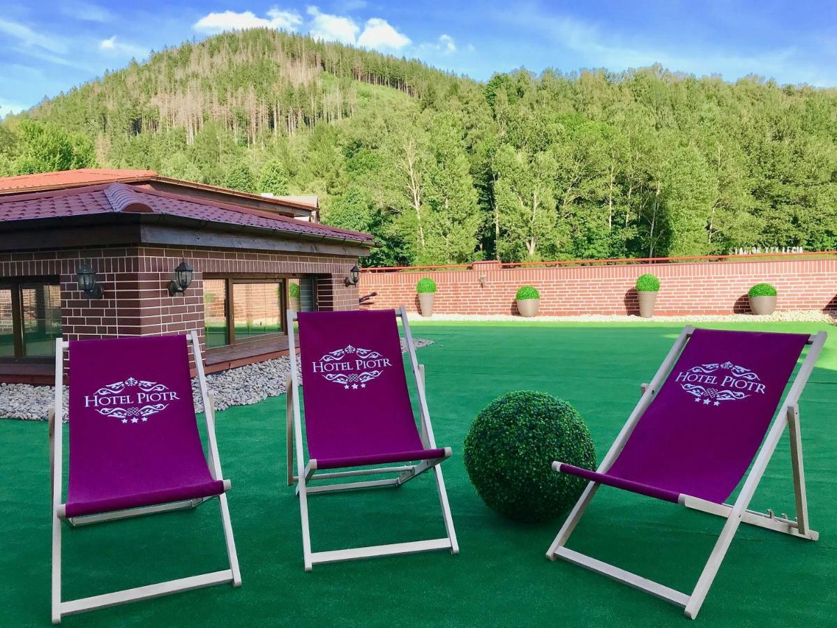 Hotel Piotr Spa&Wellness Богушув-Горце Екстер'єр фото